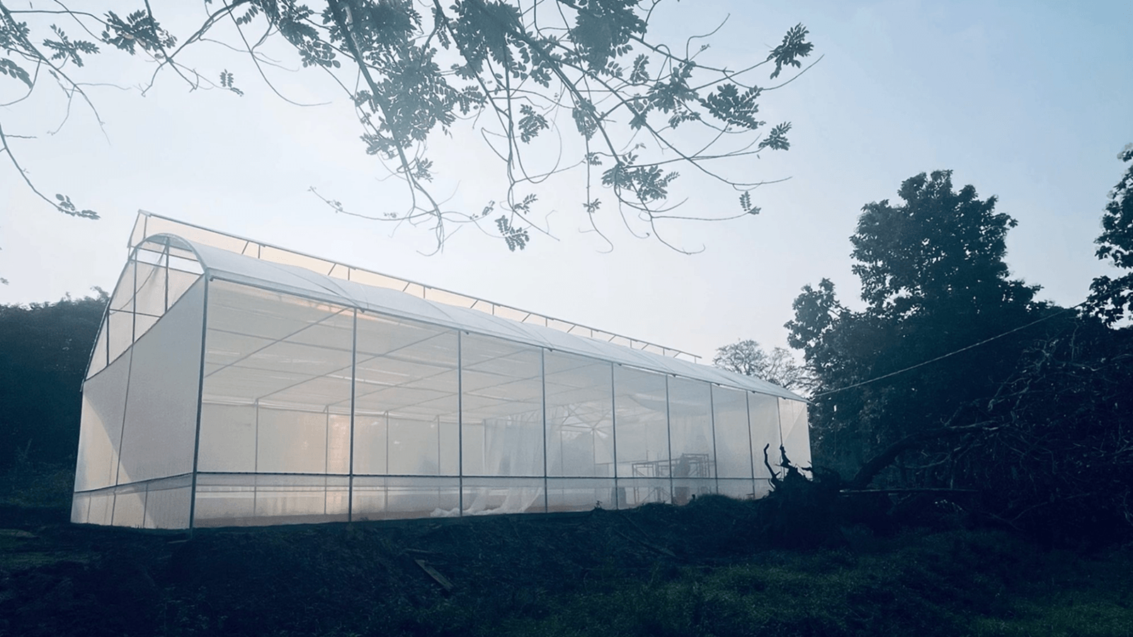 Modern greenhouse setup in Sri Lanka