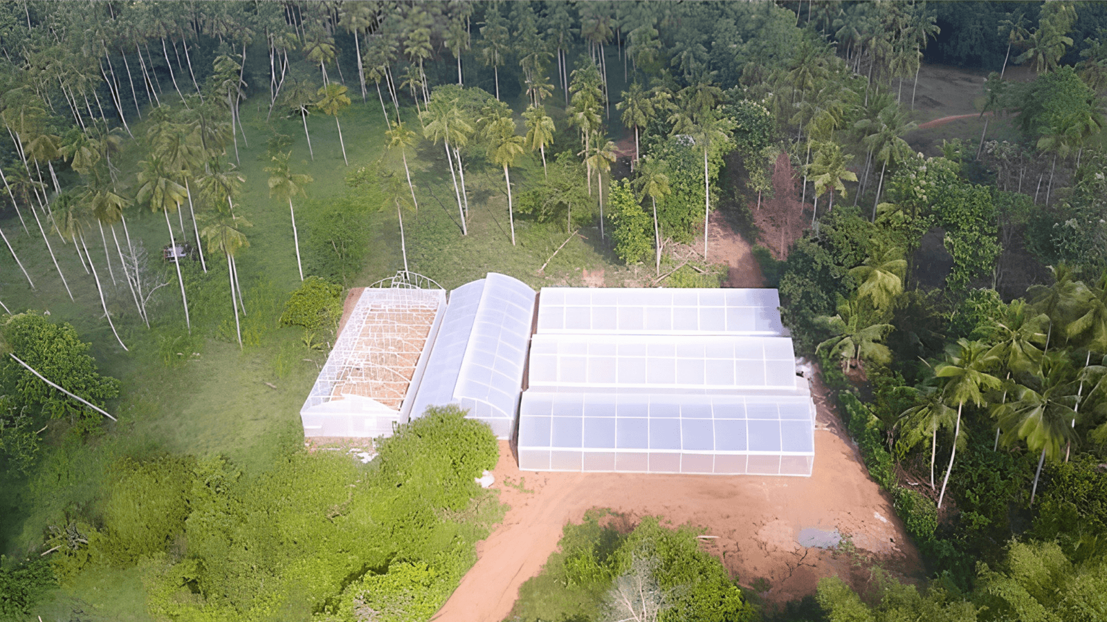 Aerial view of polytunnel and greenhouse project