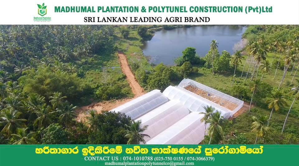 Aerial view of completed polytunnels next to a lake and coconut trees