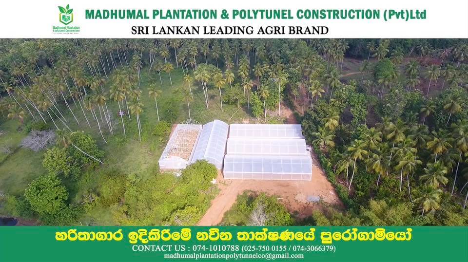 Aerial view of completed polytunnels surrounded by coconut plantation