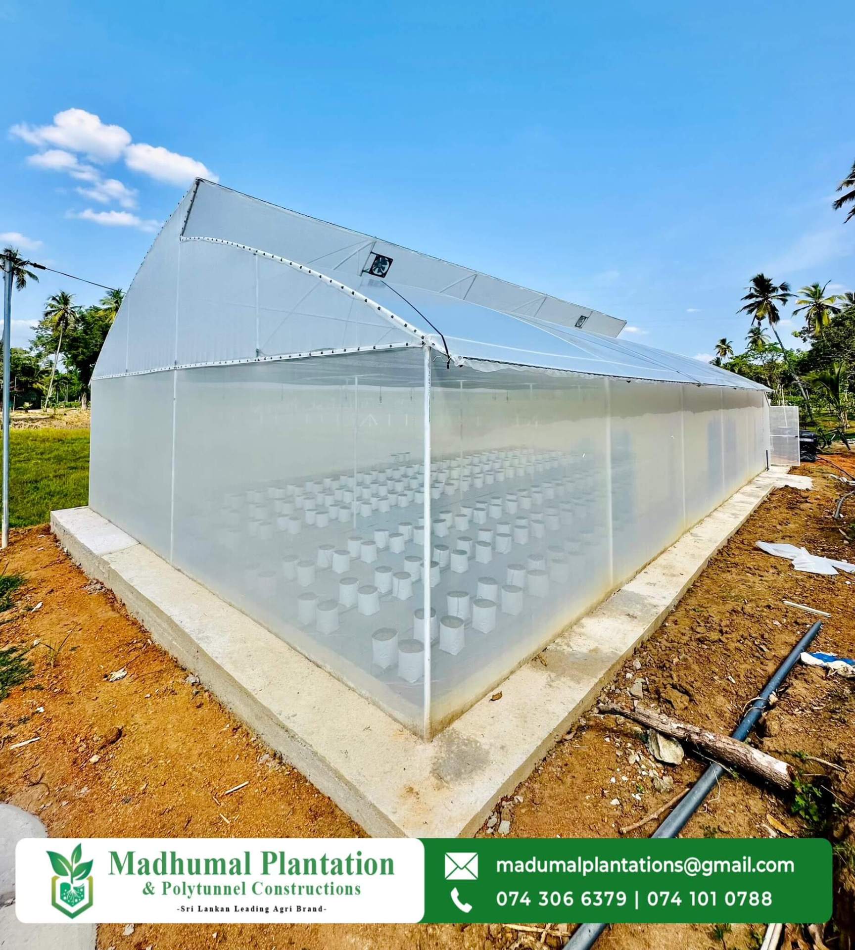 Side view of completed greenhouse with grow bags arranged inside